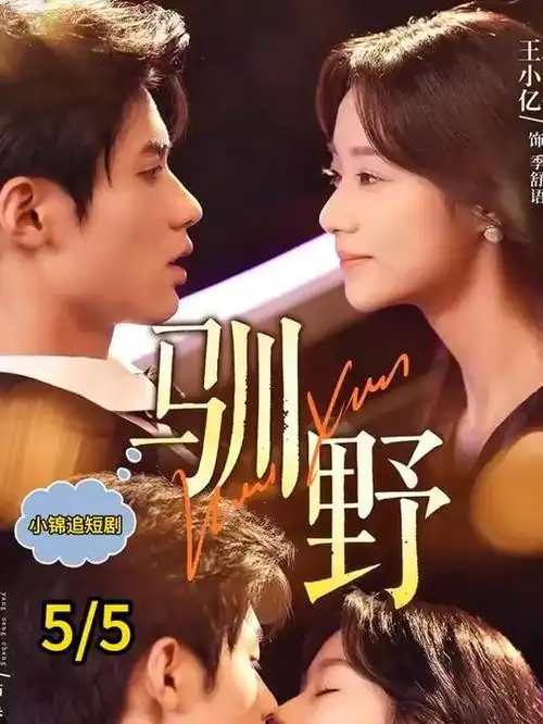 日剧中文字幕《京都四季》海报